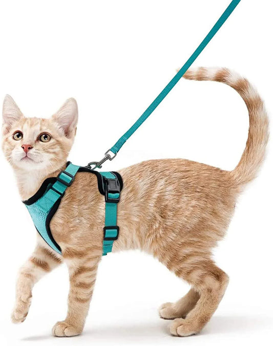 Harnais de marche confortable et sûr pour chats
