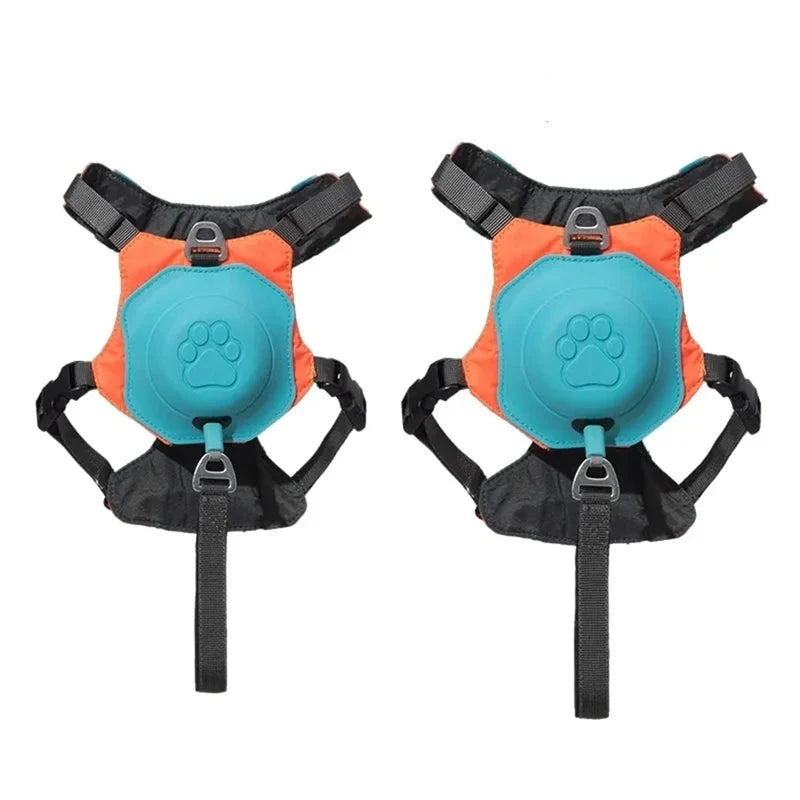 Harnais confortable pour chien avec laisse réglable et design respirant
