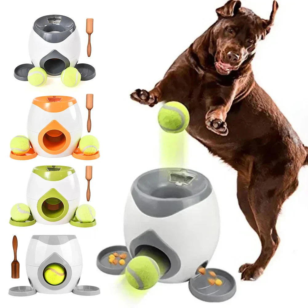 Compagnon automatique - stimulation physique et mentale pour un plaisir sans fin