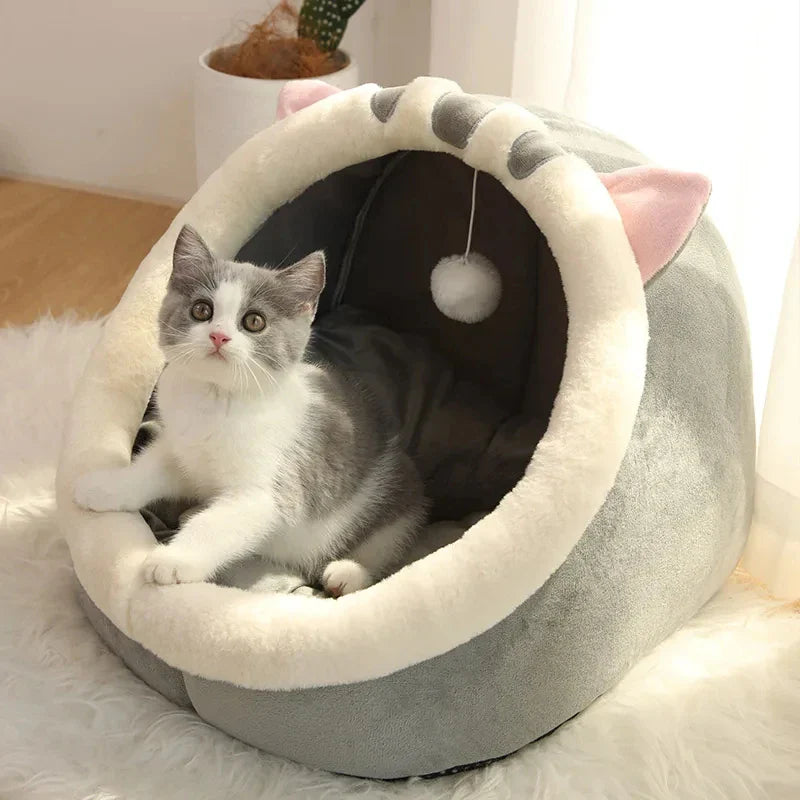 Confortable et chaud pour hommes et animaux de compagnie de