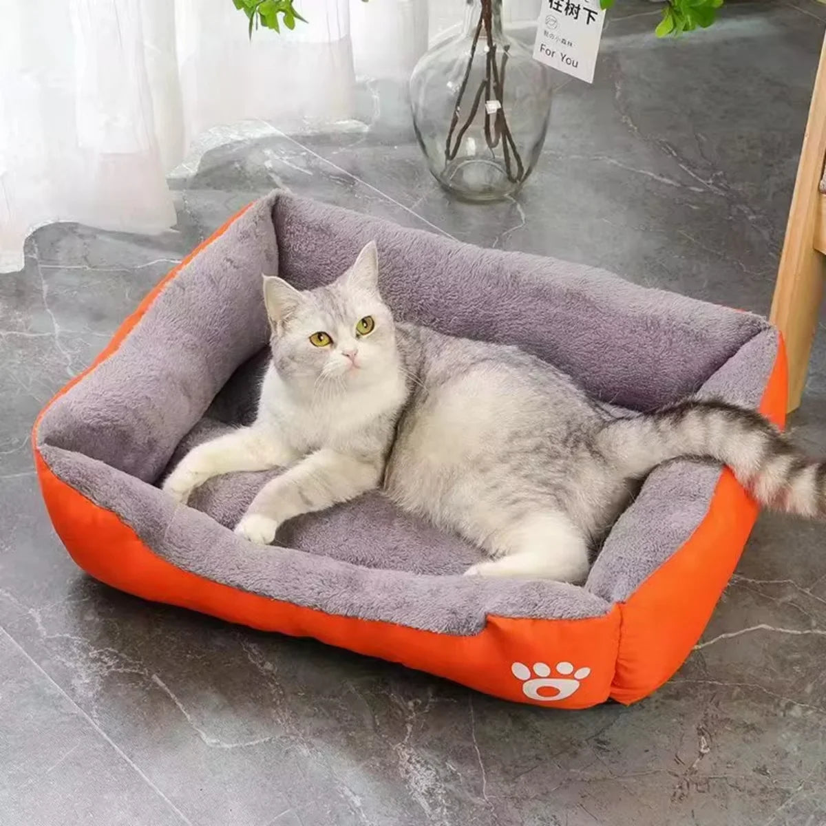 Maison d'hiver confortable pour chiens