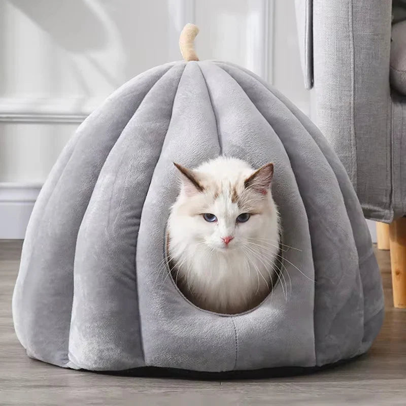 Lit fermé douillet pour chat pour les journées d'hiver chaudes