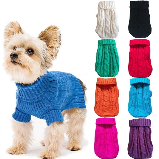 Pull confortable et chaud pour animaux pour une protection supplémentaire douillette
