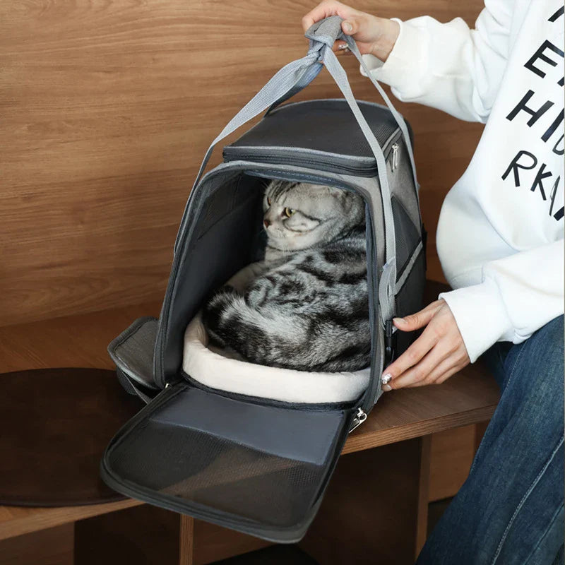 Sac à dos portable compact et élégant pour le transport facile des animaux de compagnie