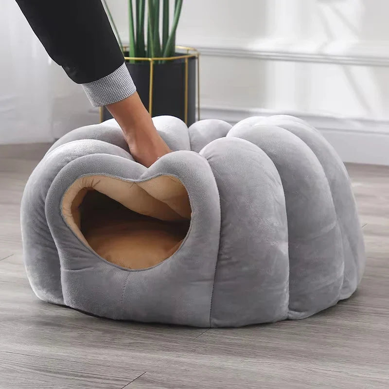 Lit fermé douillet pour chat pour les journées d'hiver chaudes