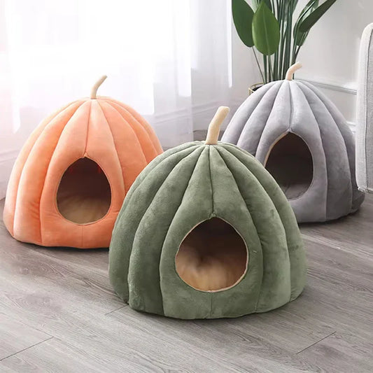 Lit fermé douillet pour chat pour les journées d'hiver chaudes
