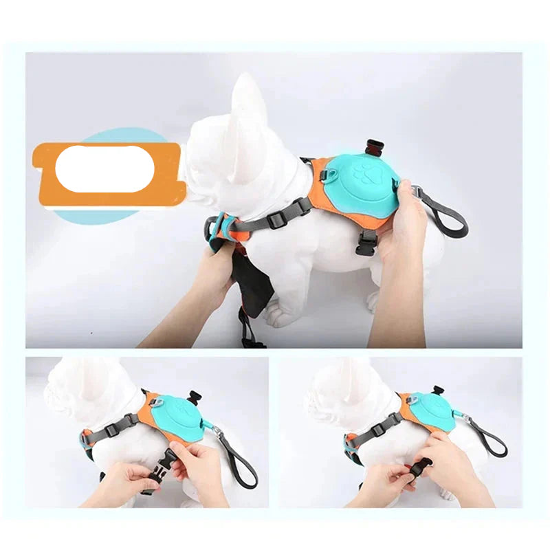 Harnais confortable pour chien avec laisse réglable et design respirant
