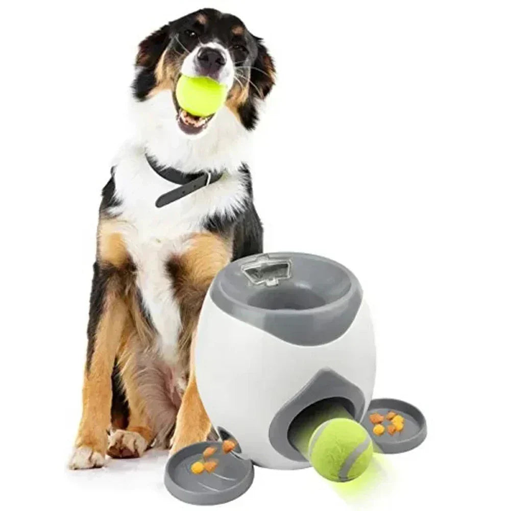 Compagnon automatique - stimulation physique et mentale pour un plaisir sans fin