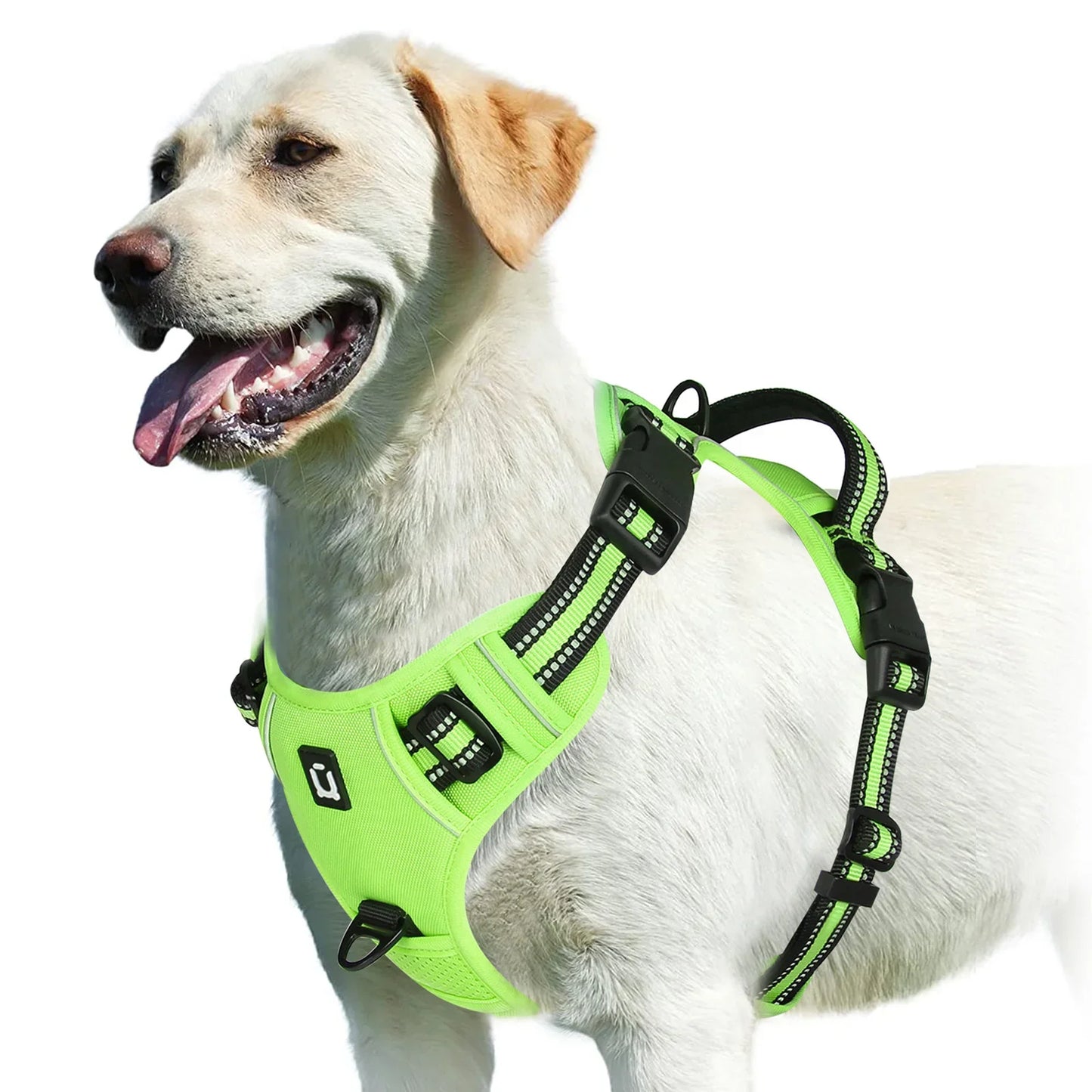 Harnais pour chien réglable pour un confort et une sécurité ultimes