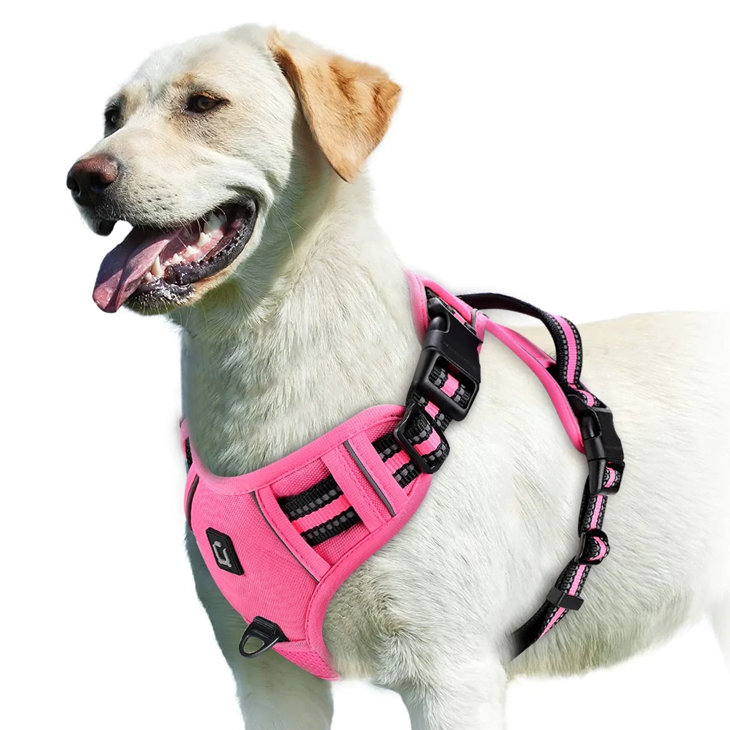 Harnais pour chien réglable pour un confort et une sécurité ultimes
