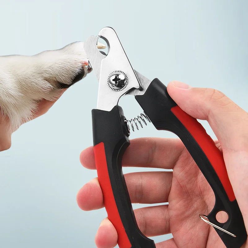Tondeuse professionnelle pour chiens et chats pour un look parfaitement lisse