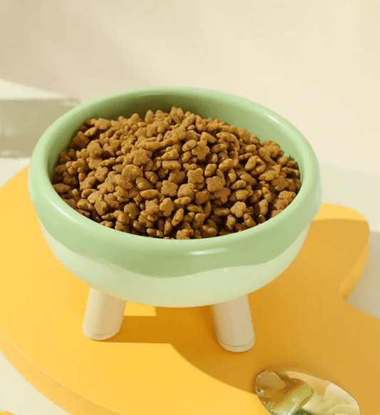 Bol à nourriture pour animaux élégant et rond pour une alimentation stylée et confortable