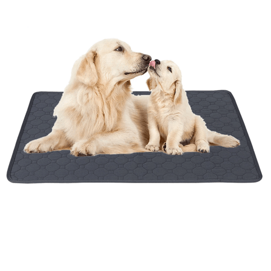Tapis d'entraînement urinaire réutilisable pour chiens pour une pratique facile et hygiénique