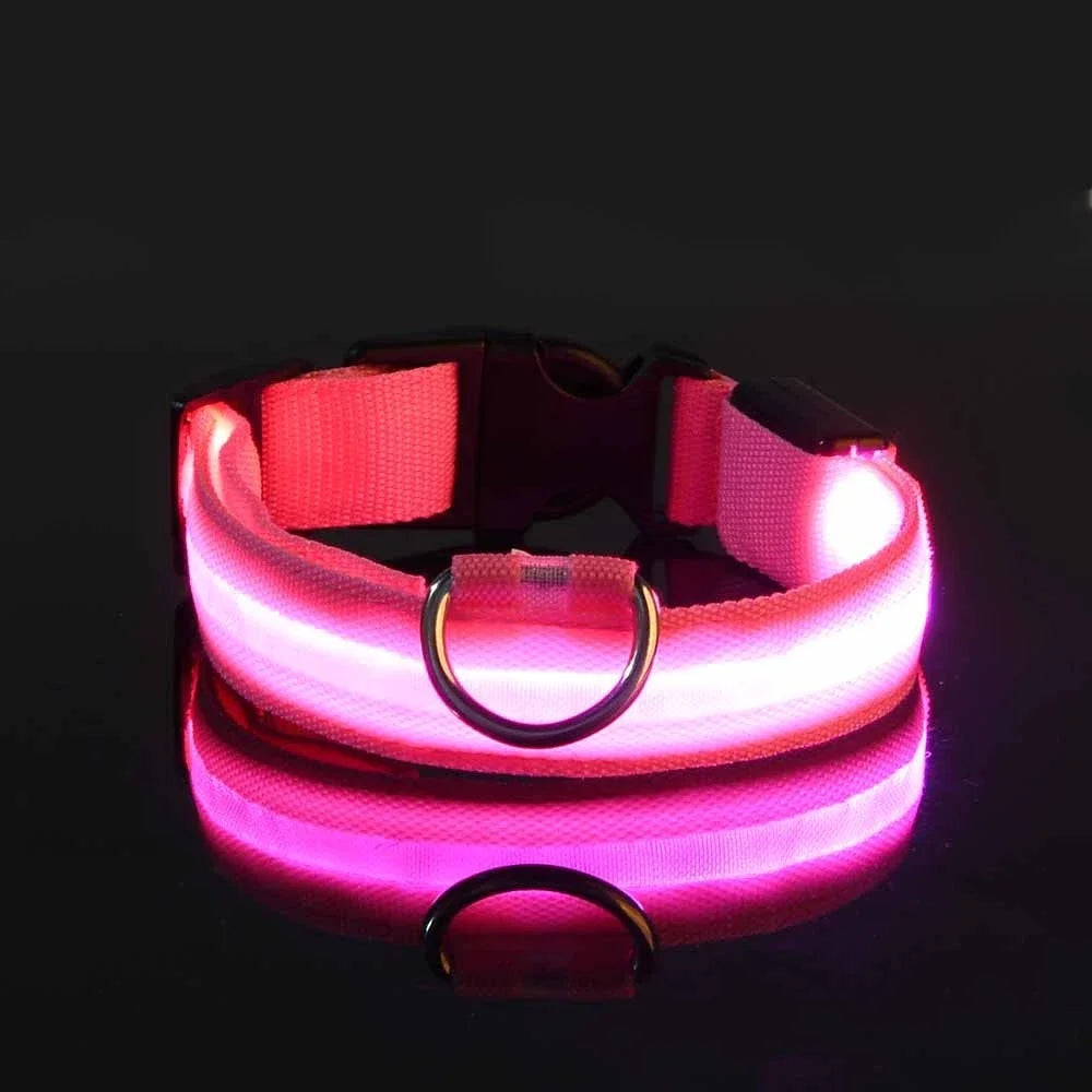 Collier pour chien LED de luxe pour une sécurité nocturne ultime
