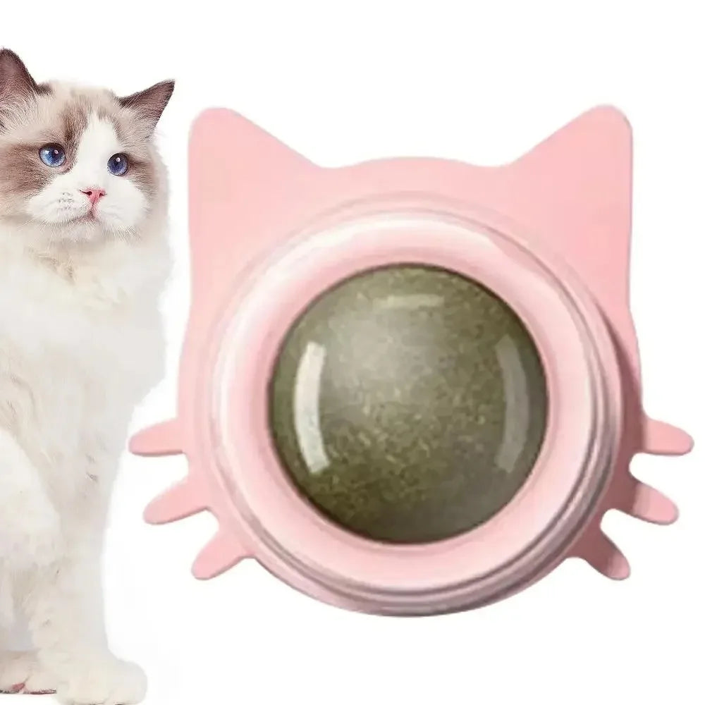 Balle de jeu pour chat pour un estomac sain et plus de gaieté