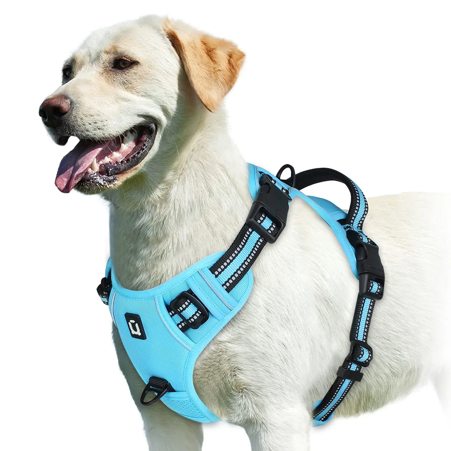 Harnais pour chien réglable pour un confort et une sécurité ultimes