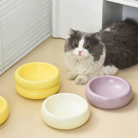 Bol en céramique de luxe pour animaux de compagnie pour une expérience d'alimentation élégante