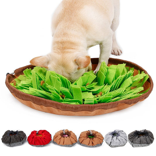 Tapis d'alimentation froid et sain pour chien pour confort et divertissement