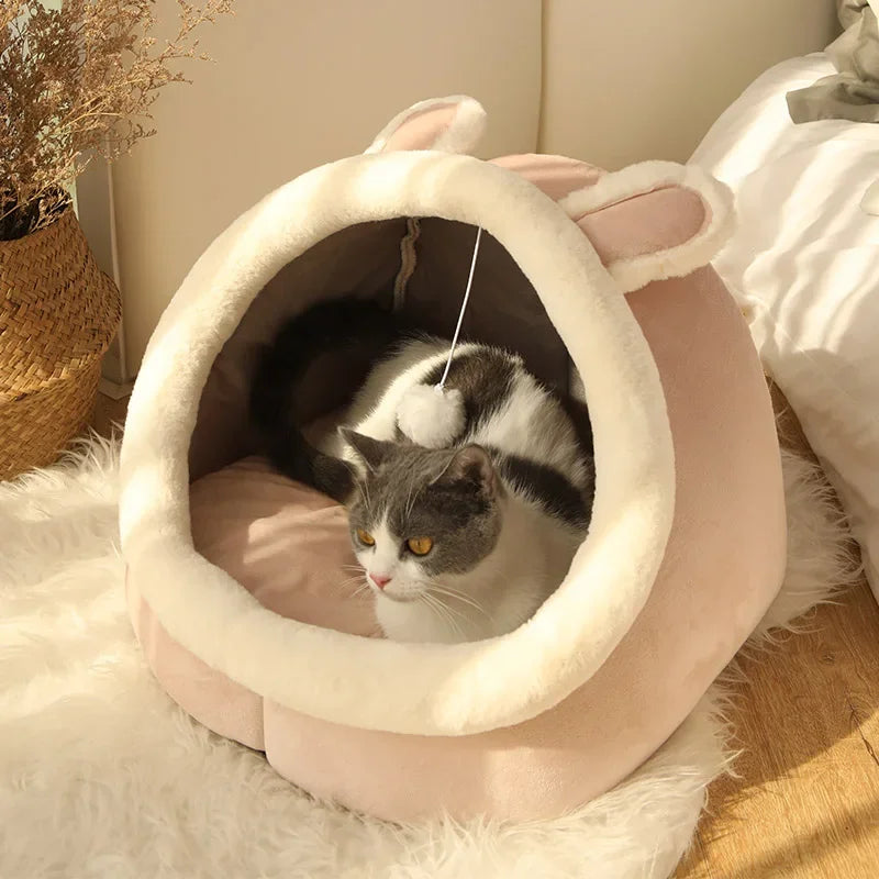 Confortable et chaud pour hommes et animaux de compagnie de