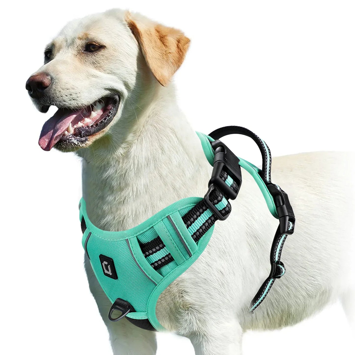 Harnais pour chien réglable pour un confort et une sécurité ultimes