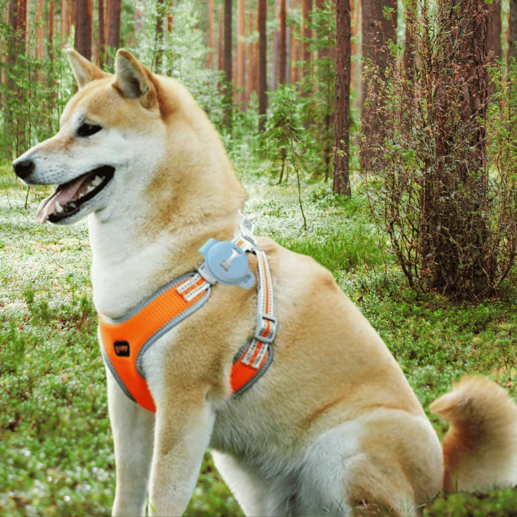 Gardez votre animal fiable et toujours informé