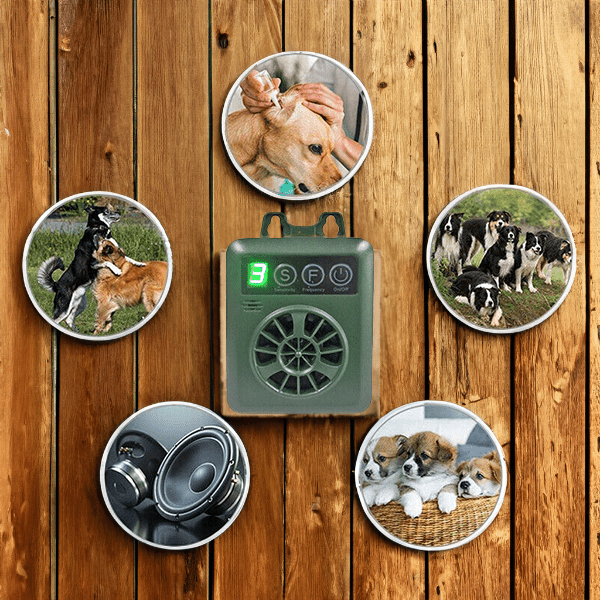 Système de sécurité client anti-appels sûr et fiable