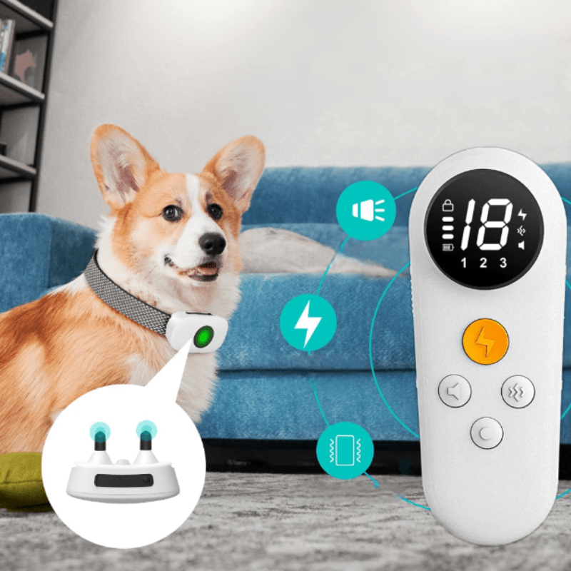 Dispositif anti-aboiement ultime pour la paix à la maison