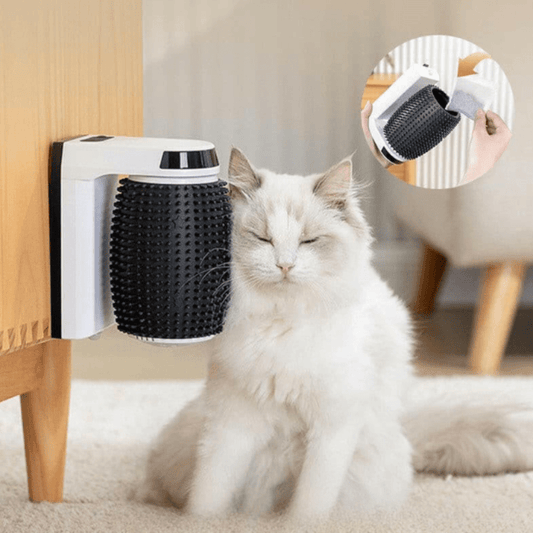 Brosse douce ultime pour un pelage éclatant et sain