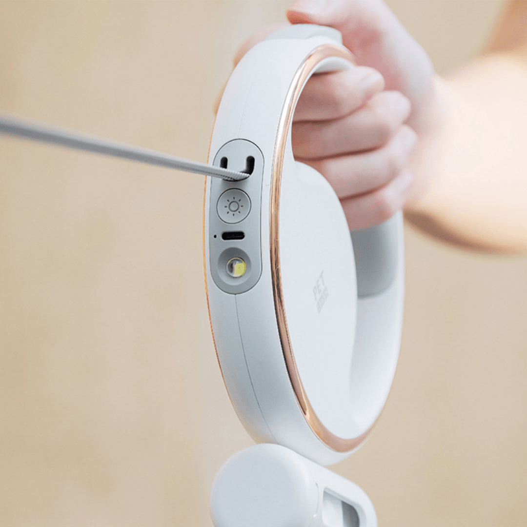 Laisse pour chien réfléchissante rechargeable USB pour commodité et sécurité