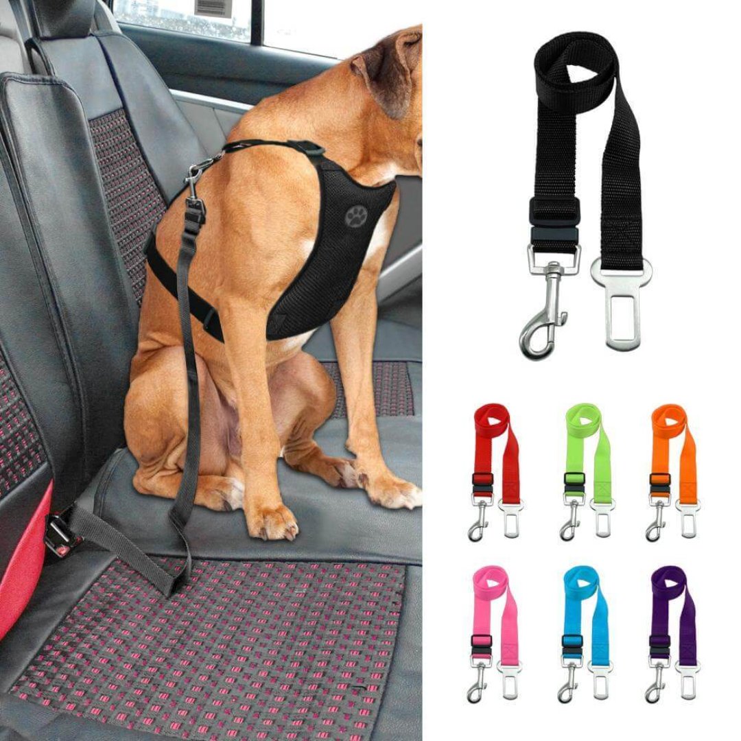 Ceinture de sécurité réglable pour chien avec fermoir rotatif à 360° pour un trajet confortable et sûr