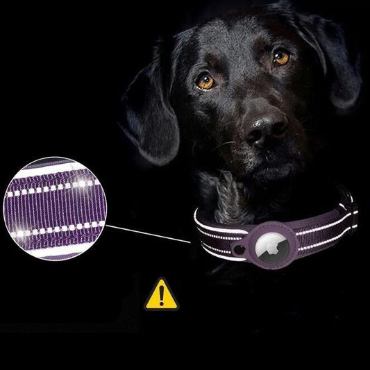Collier pour animal ultra-sûr et confortable pour une protection ultime