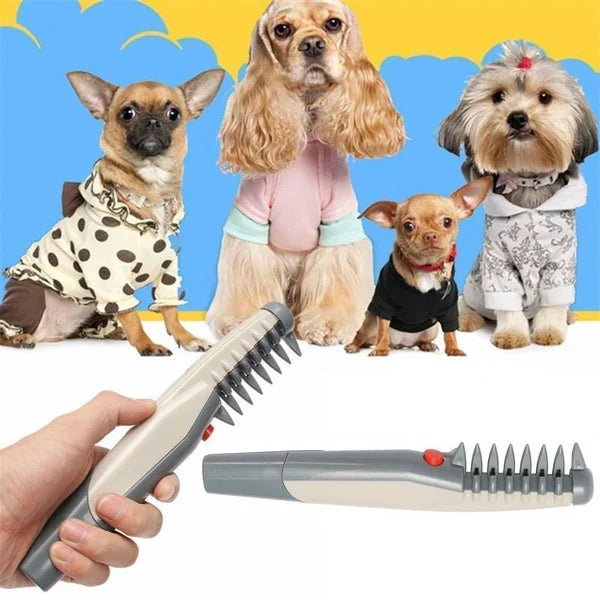 Tondeuse électrique élégante pour poils d'animaux, pour une coupe sans souci et sans effort