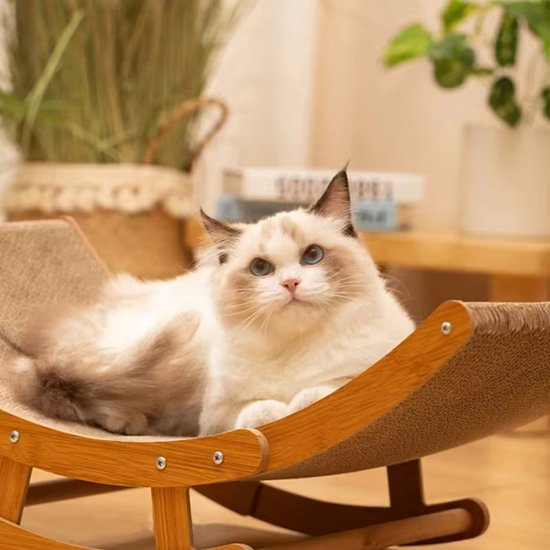 Chat griffu
