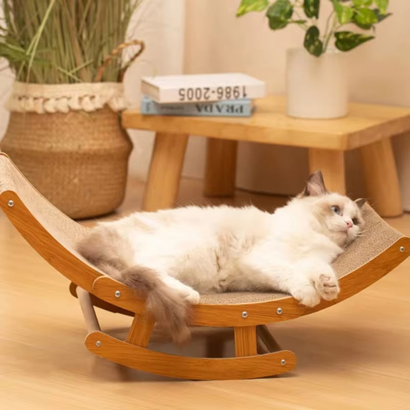 Chat griffu