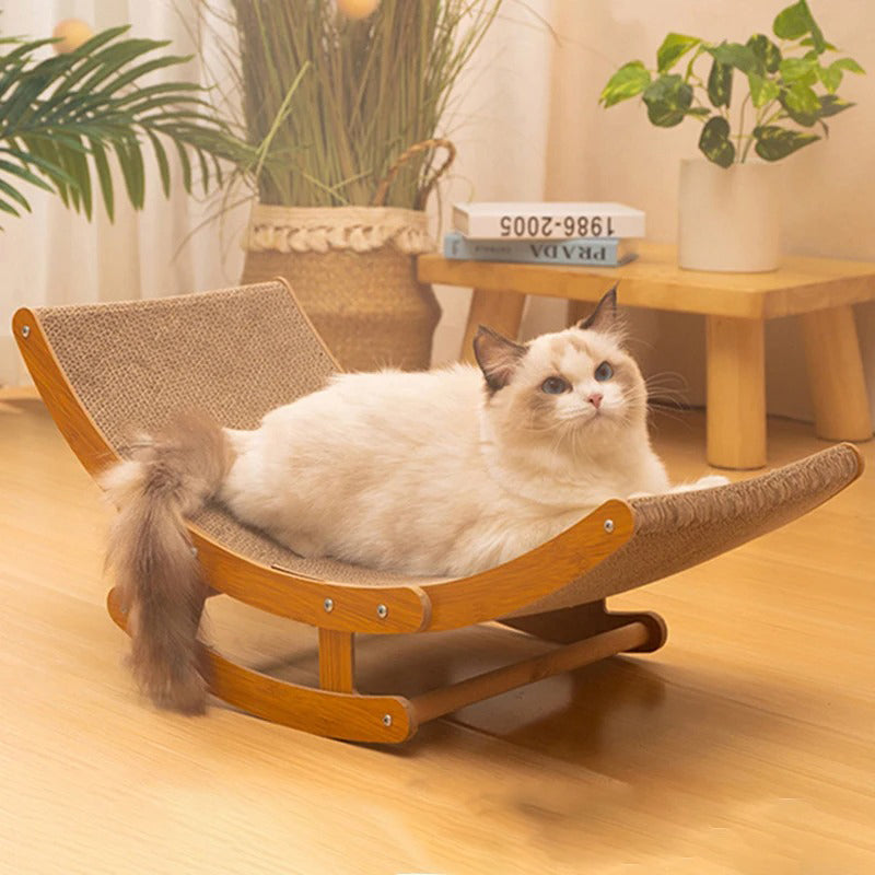 Chat griffu