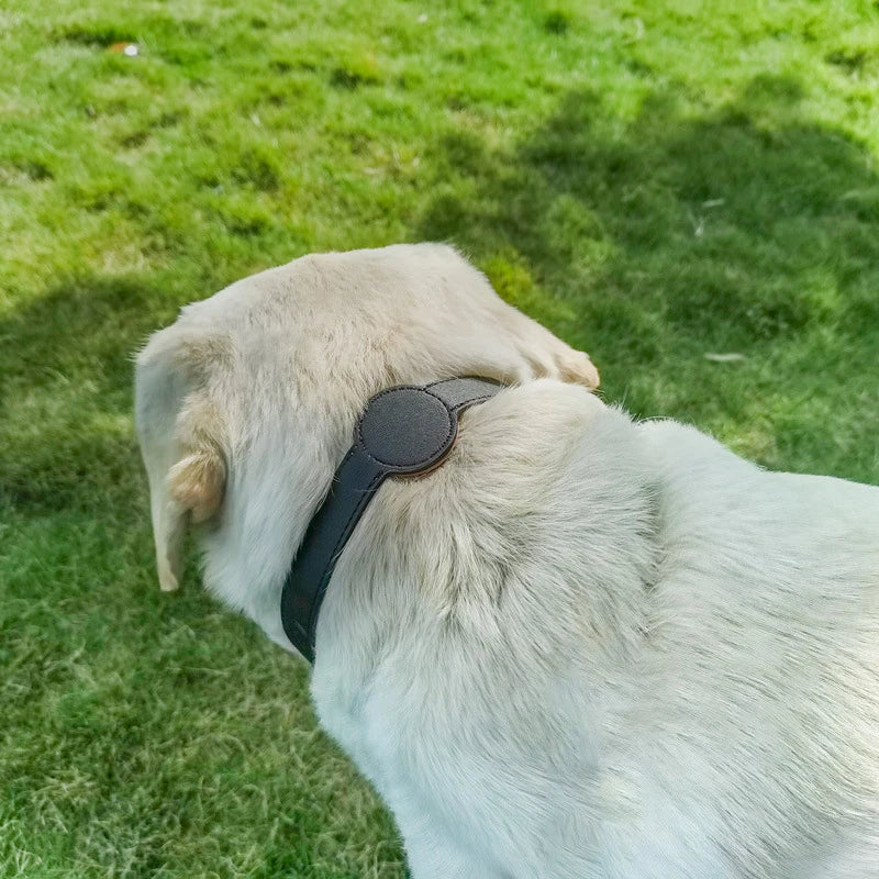 Collier pour chien élégant avec support Airtag intégré pour un suivi optimal