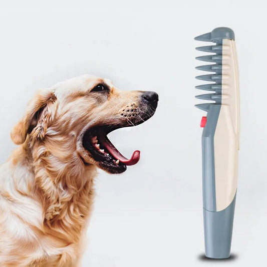 Tondeuse électrique élégante pour poils d'animaux, pour une coupe sans souci et sans effort