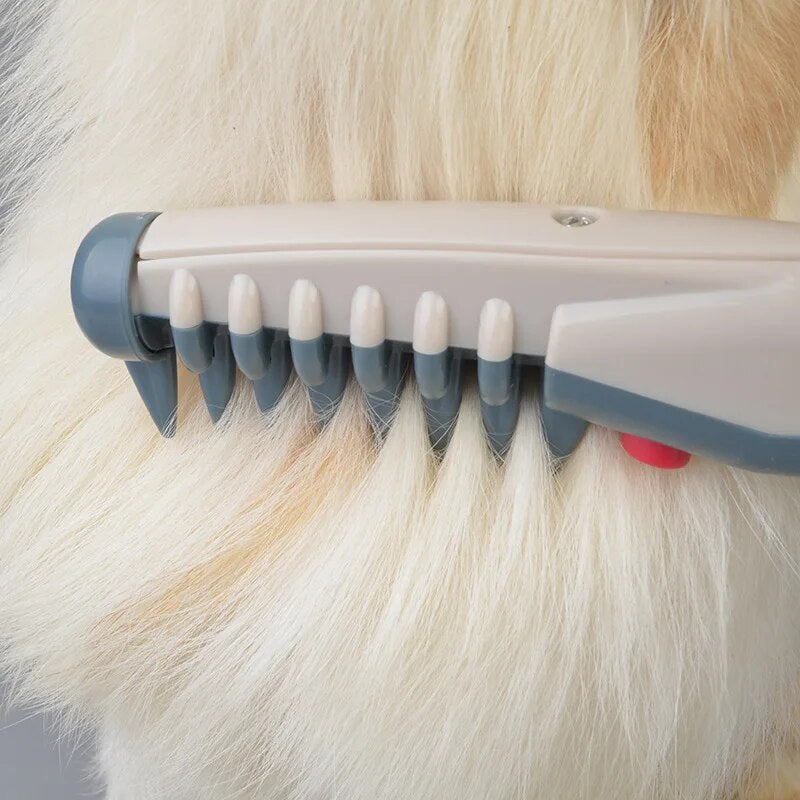 Tondeuse électrique élégante pour poils d'animaux, pour une coupe sans souci et sans effort