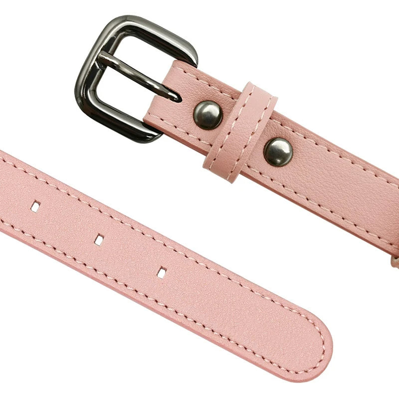 Collier pour chien élégant avec support Airtag intégré pour un suivi optimal