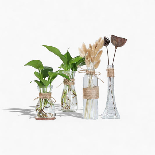 Vase en verre minimaliste - Décoration de table élégante