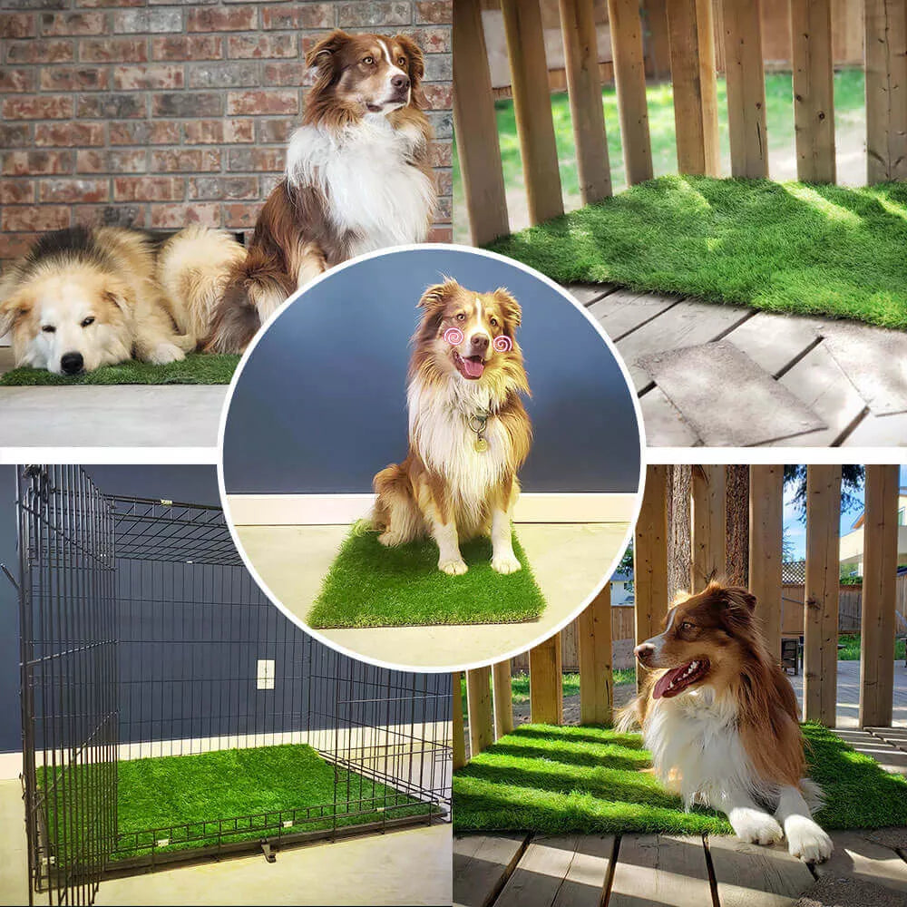 Tapis d'herbe pour chien de haute qualité intérieur et extérieur avec protection anti-fuite pour confort et commodité