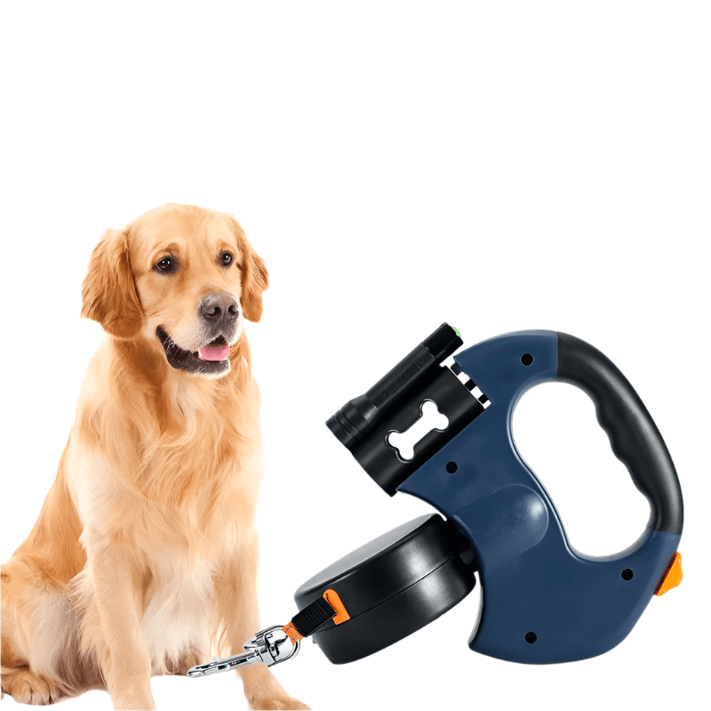 Laisse double pour chien avec lumière LED - Forte jusqu'à 30kg pour des sorties sûres et élégantes