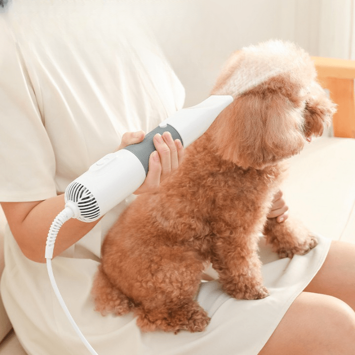Sèche-cheveux ergonomique pour animaux avec chaleur réglable pour un toilettage rapide et facile