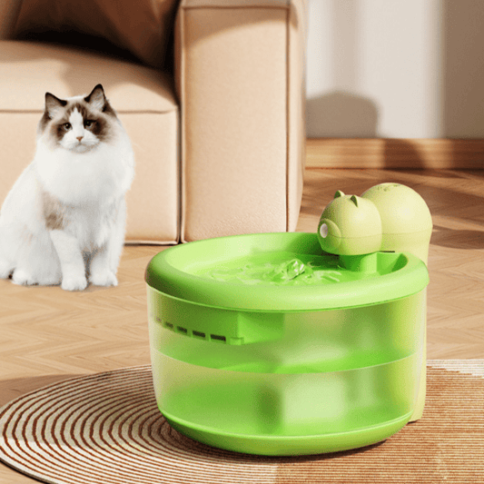 Fontaine apaisante pour chats