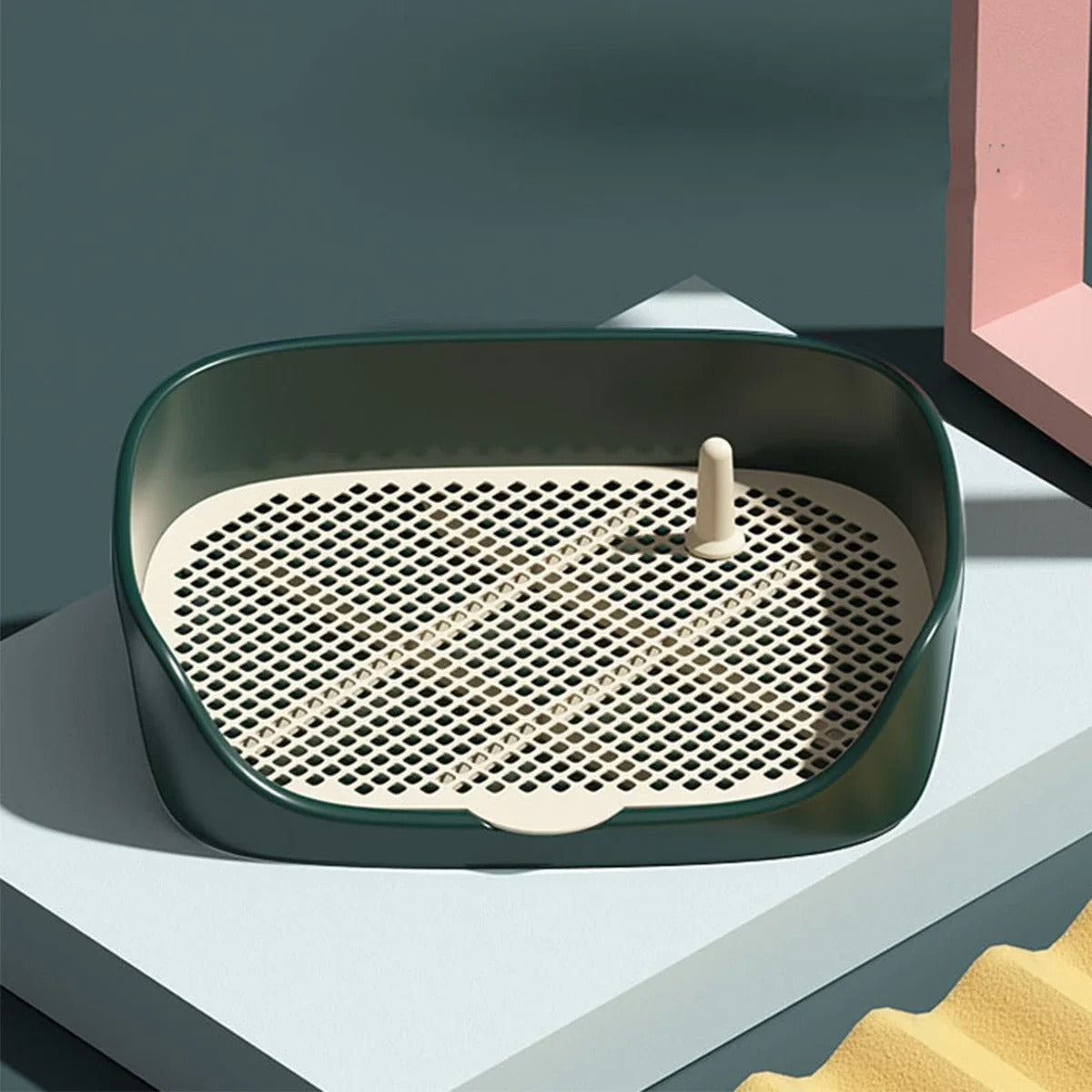 Apprenez la propreté à votre chien