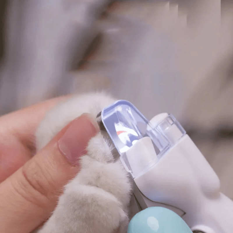 Coupe-ongles confortable pour petits animaux de compagnie