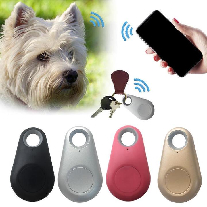 Traceur GPS pour animaux de compagnie compact et fiable