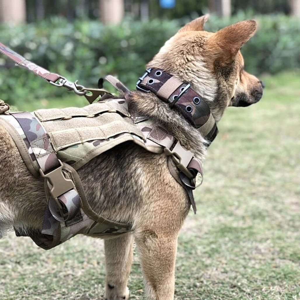 Harnais de sécurité tactique ajustable pour chiens pour un confort et une sécurité ultimes