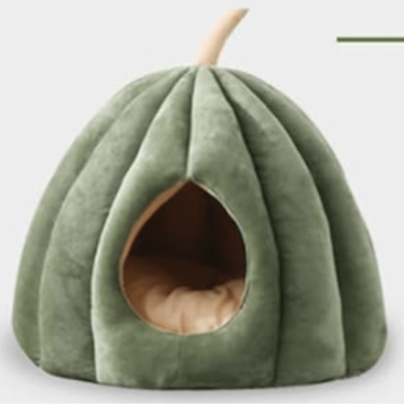 Lit fermé douillet pour chat pour les journées d'hiver chaudes