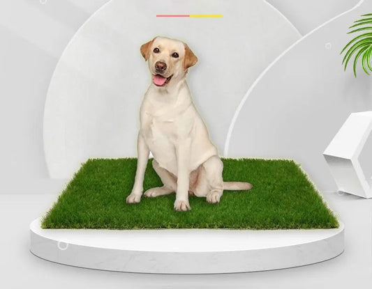 Tapis d'herbe pour chien de haute qualité intérieur et extérieur avec protection anti-fuite pour confort et commodité